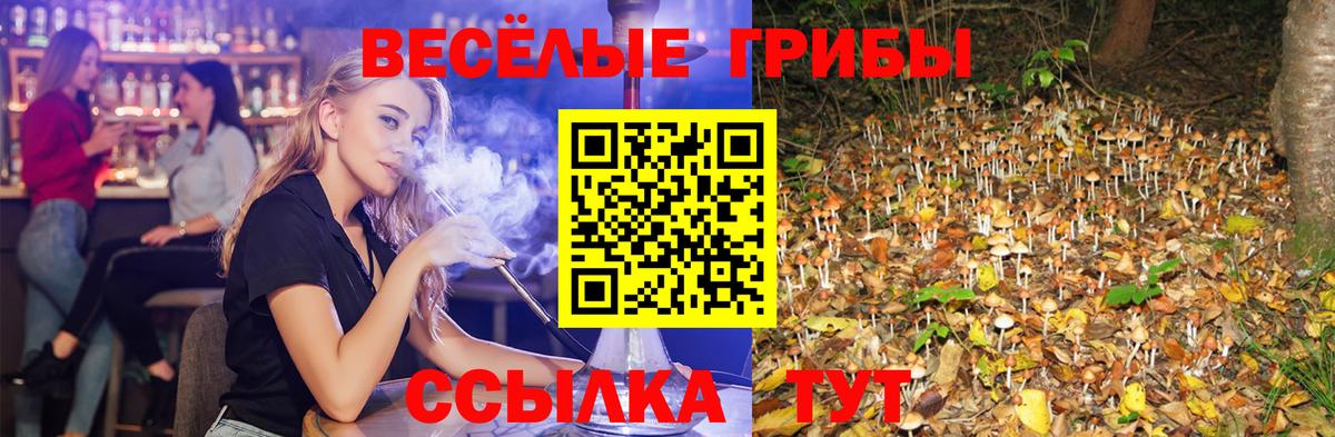 Галлюциногенные грибы MAGIC MUSHROOMS Санкт-Петербург